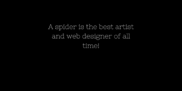 best spider web quotes