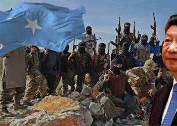 ETIM, taliban, china, uyghur