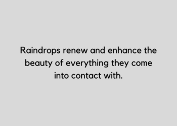 Raindrops quotes