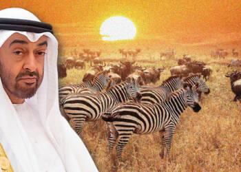 UAE,AFRICA, CHINA,RUSSIA,TIGRAY,MBZ