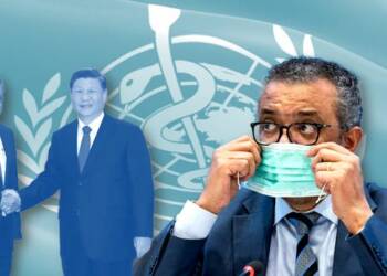 WHO,usa,china,organization