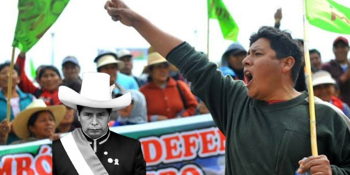 Anti-government protests in Peru have a distinct anti-CCP fervour