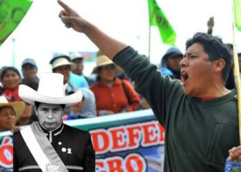 Anti-government protests in Peru have a distinct anti-CCP fervour