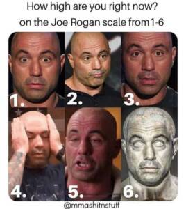 Joe Rogan Meme 6