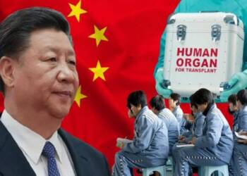 CCP doctors extract hearts from the prisoners 