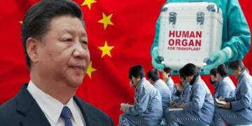 CCP doctors extract hearts from the prisoners