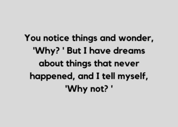 chase your dream quote