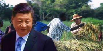 AFRICA, CHINA, FOOD