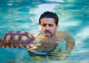 Nick Finch swimming with turtle