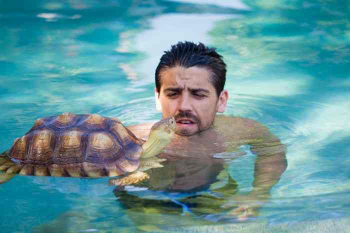 Nick Finch swimming with turtle