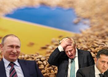 Ukraine food grain export