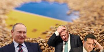 Ukraine food grain export