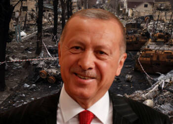 Turkey made the most out of the Russia-Ukraine war