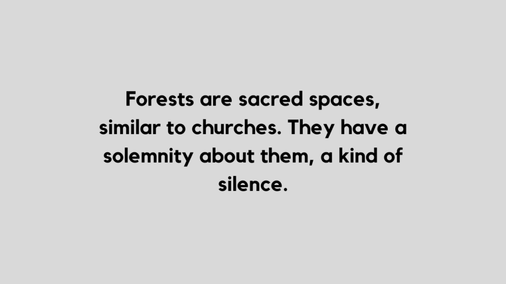 forest quote and caption for Instagram
