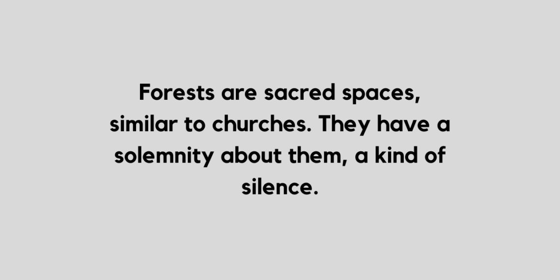 forest quote and caption for Instagram