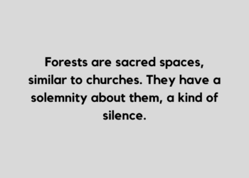 forest quote and caption for Instagram