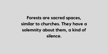 forest quote and caption for Instagram