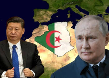 The Algeria files: China is cushioning itself before Russia lands a shattering punch