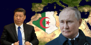 The Algeria files: China is cushioning itself before Russia lands a shattering punch