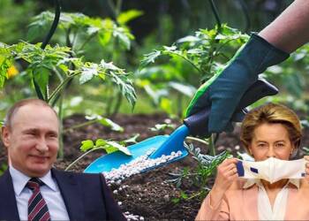 EU removes food and fertilizers sanctions from Russia   