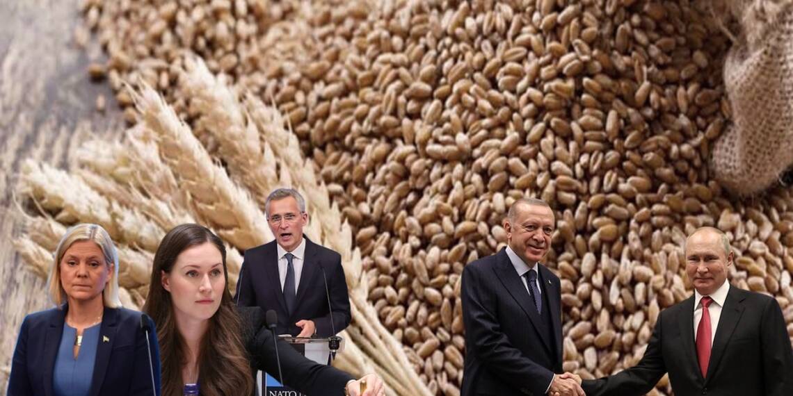 Russia’s irresistible food offer to Turkey has sounded the death knell for Sweden and Finland