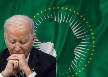 African Union was a toothless tiger before the West, now it’s started growling