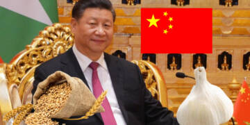 Chinese builders are so miserable these days that they are accepting wheat and garlic as installments