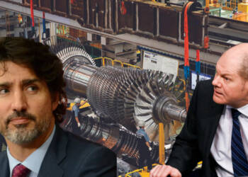 Germany jumped off a cliff, and now it’s saying that Canada pushed it