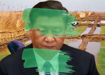 The hilarious reason why Chinese people are painting their barren farms green