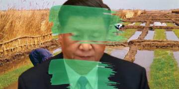 The hilarious reason why Chinese people are painting their barren farms green