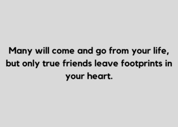 no friends quote and caption