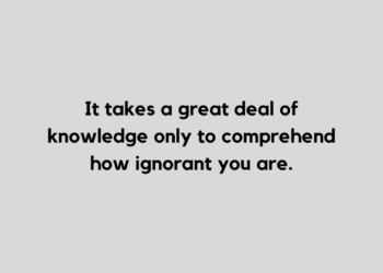 silly quote and caption for Instagram