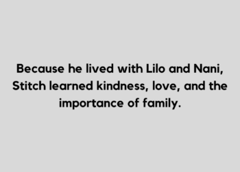 stich quote and caption