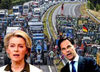 Protesting farmers in Netherlands wave German flags—It is the endgame for the EU