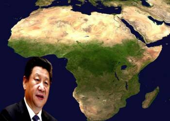 Millions of donkeys go missing in Africa. Now, a large Chinese syndicate is caught red-handed