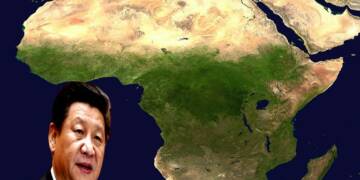 Millions of donkeys go missing in Africa. Now, a large Chinese syndicate is caught red-handed