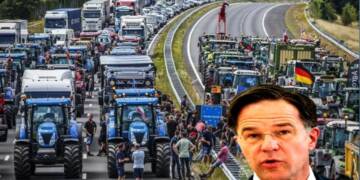 Netherlands nitrogen image