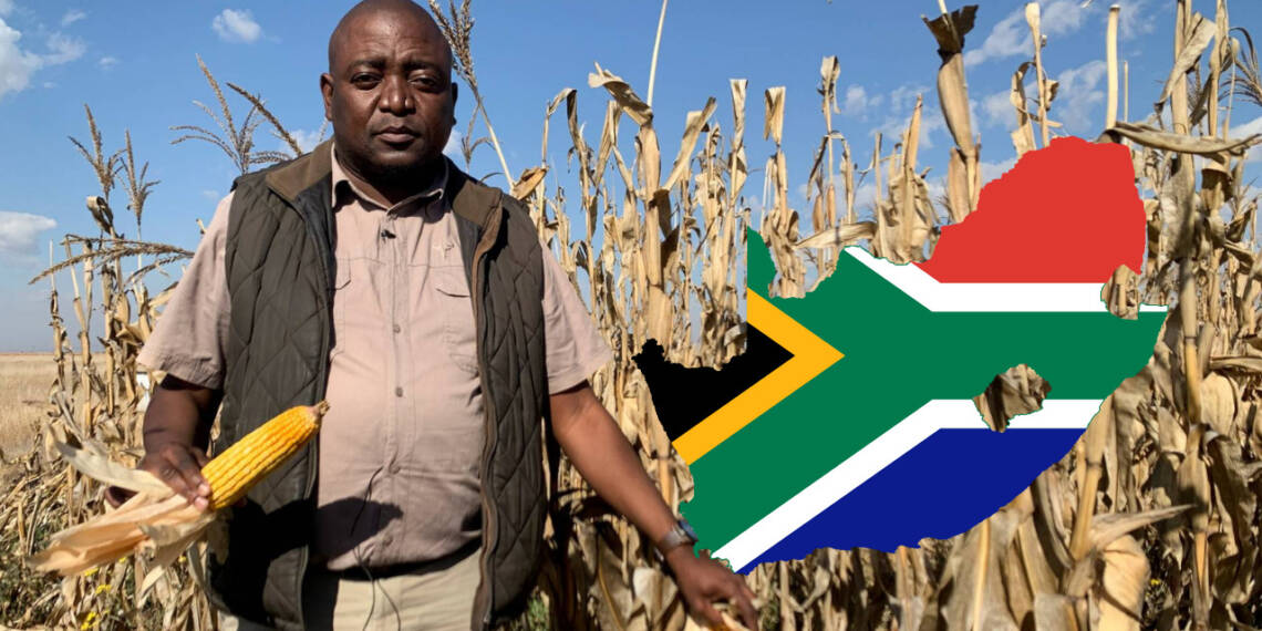 Beware! Foreign powers conspire to destroy South Africa’s agriculture industry
