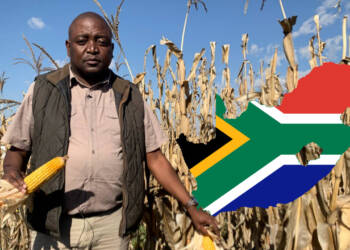 Beware! Foreign powers conspire to destroy South Africa’s agriculture industry