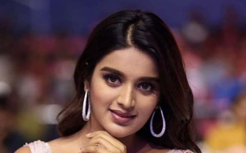 Niddhi Agerwal Profile picture Instagram