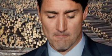 ‘Friend’ US shuts down Canadian businesses as Canada struggles to put up a fight