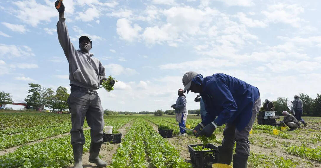 “Slavery in 21st century”, Welcome to Trudeau’s Canada