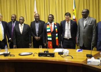 Zimbabwe ties