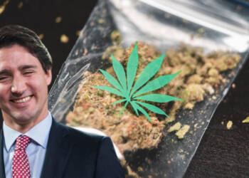 legal cannabis