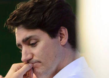 Alberta takes Trudeau to the cleaners over plastic ban issue