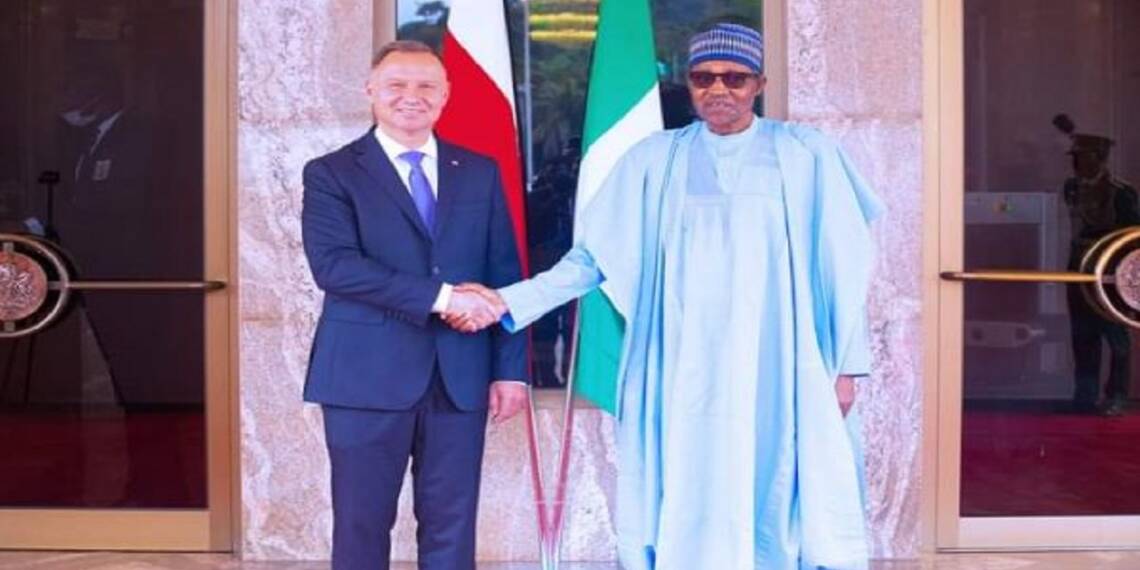 Hungary and Poland mend ties