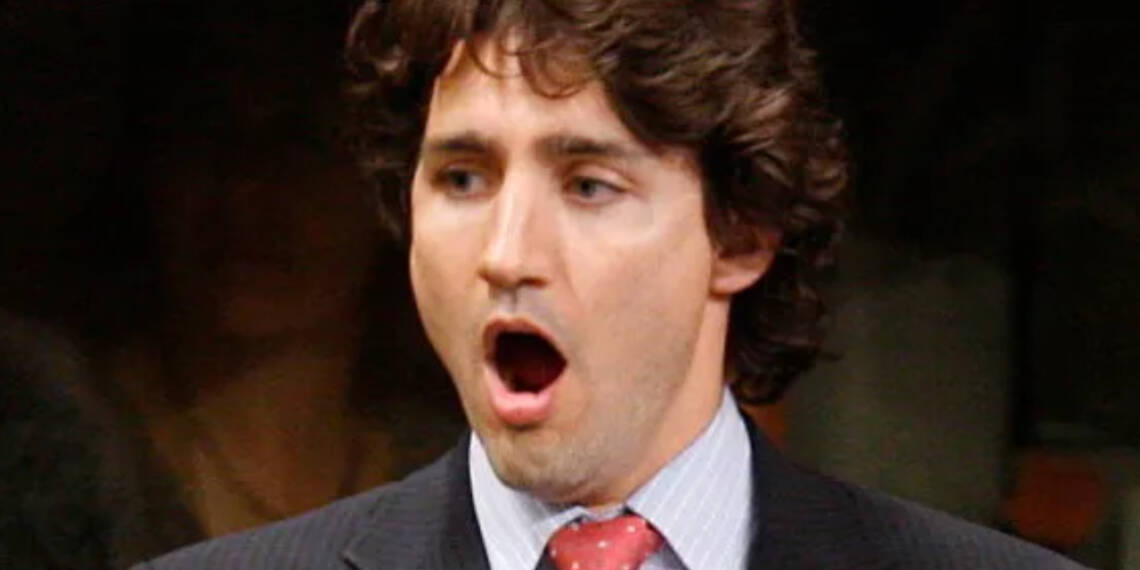 conservative party ambassador