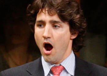 conservative party ambassador