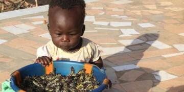 “British elites” want the African “savages” to live on an insect diet