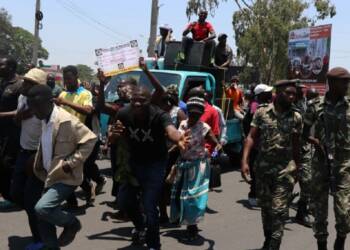 To appease the West, Malawi irked Putin and now its economy is on ventilator support